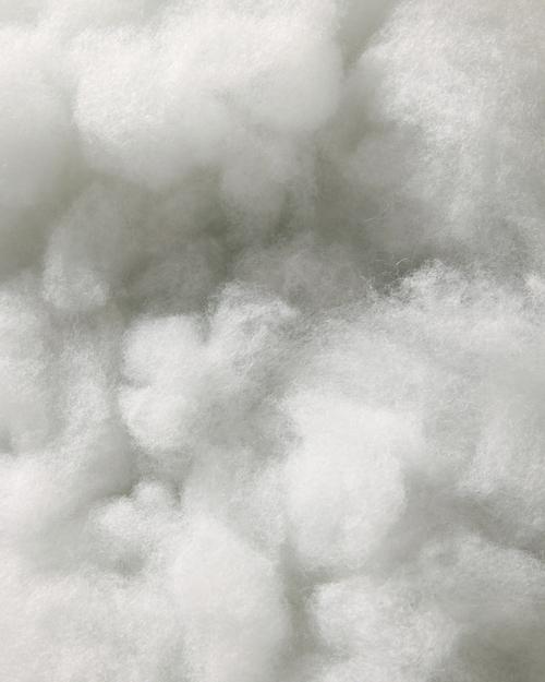 Sham Insert - Gallery Image #4