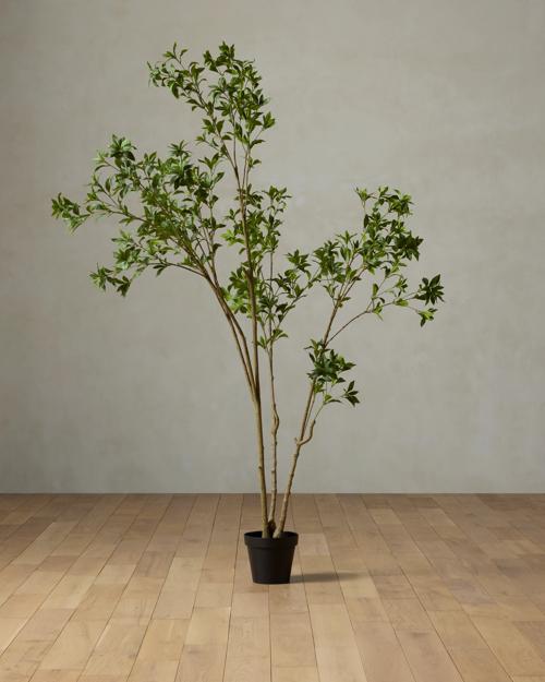 Faux Pieris Tree - Gallery Image #1