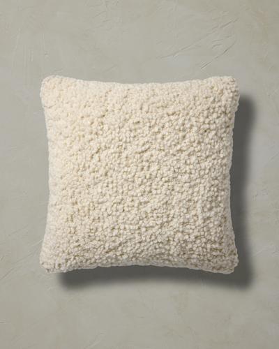 Elspeth Pillow | Joon Loloi