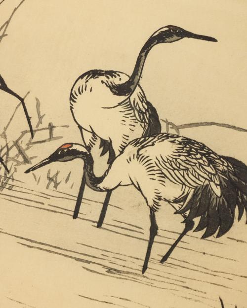 Cranes in River 1 by Getty Images - Gallery Image #2