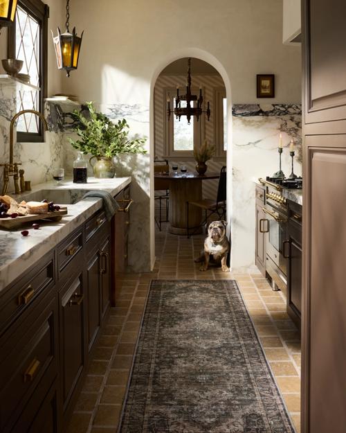 Doheny Washable Printed Rug - Gallery Image #3