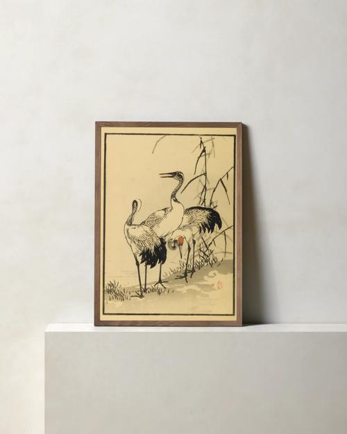 Cranes in River 2 by Getty Images - Gallery Image #1