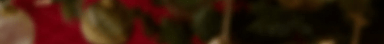Holiday banner