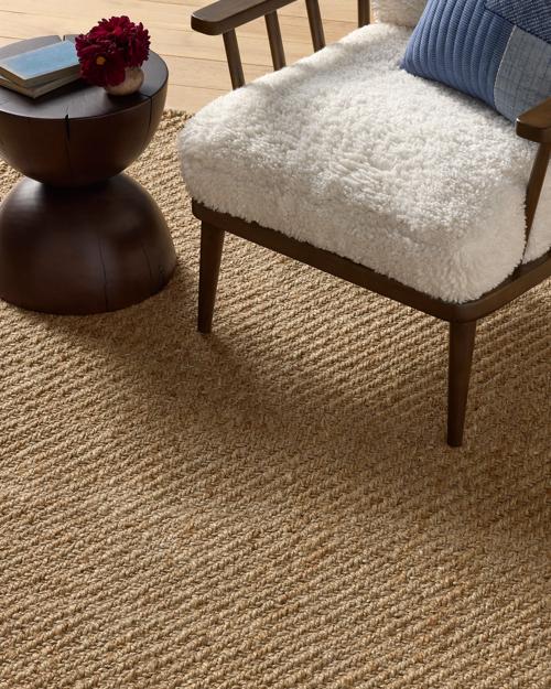 Shrader Handwoven Jute Rug - Gallery Image #3