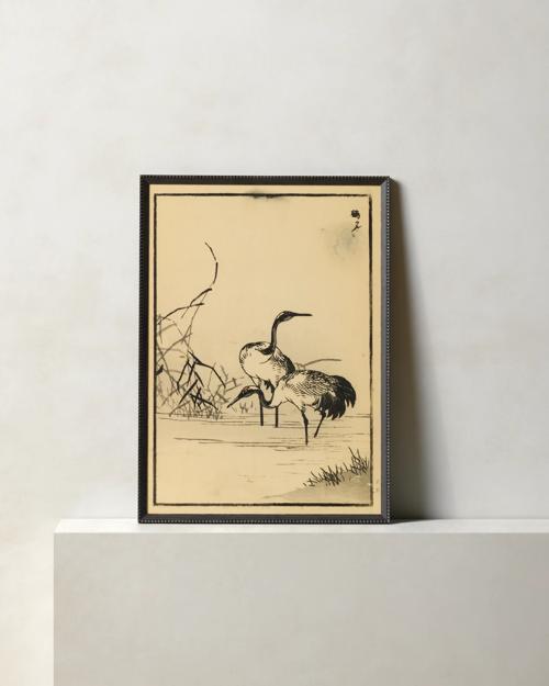Cranes in River 1 by Getty Images - Gallery Image #1