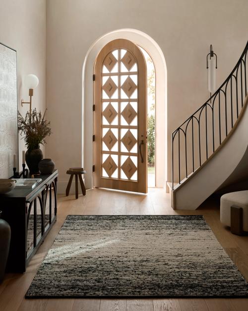 Entryway featuring Darrin rug