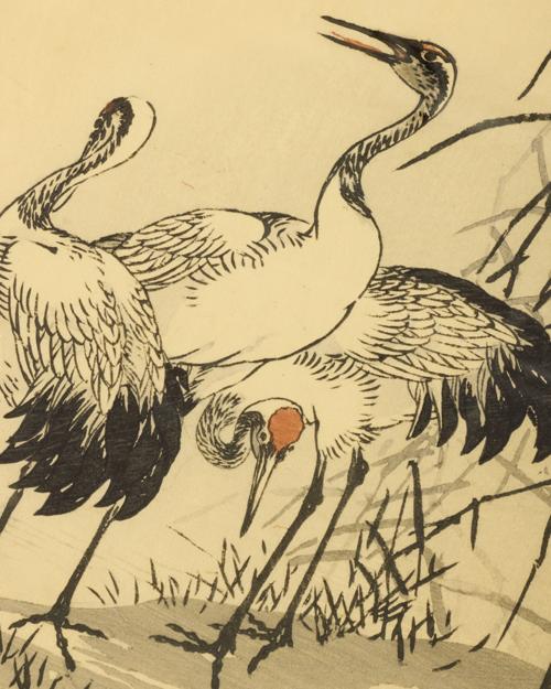 Cranes in River 2 by Getty Images - Gallery Image #2