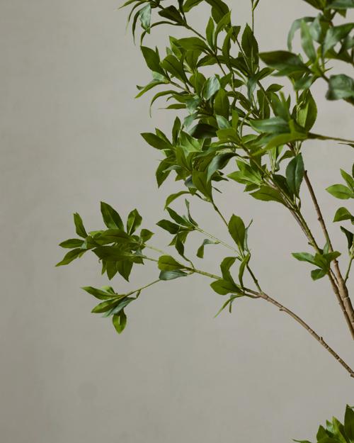 Faux Pieris Tree - Gallery Image #2
